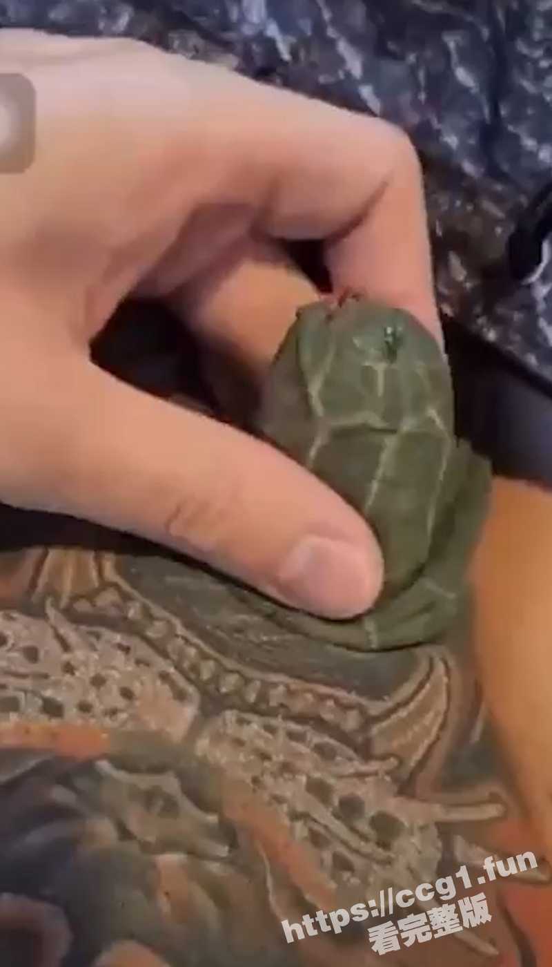 真正的龟头！第一次见纹身纹了整个屌 还为小屌做了一个龟头造型 甚至还有眼睛！ - 51吃瓜网-51吃瓜网